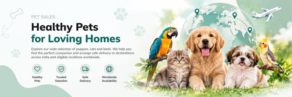 pets healthy pets, loving homes worldwide